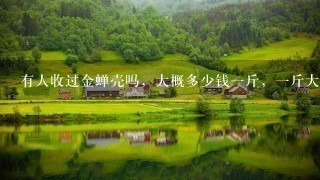 有人收过金蝉壳吗,大概多少钱1斤,1斤大概有多少 有人收过金蝉壳吗,大概多少钱1斤,1斤大概有多少
