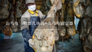 山乌龟1般要几块钱+山乌龟固定器 山乌龟1般要几块钱+山乌龟固定器
