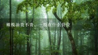 橄榄油贵不贵,1般在什么价位 橄榄油贵不贵,1般在什么价位