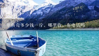 甲鱼壳多少钱1斤,哪里收,有电话吗 甲鱼壳多少钱1斤,哪里收,有电话吗