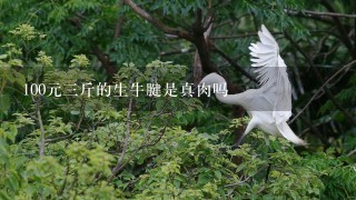 100元3斤的生牛腱是真肉吗 100元3斤的生牛腱是真肉吗