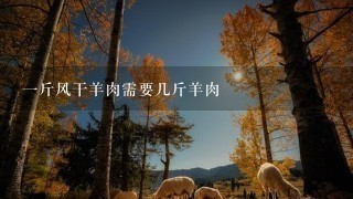 1斤风干羊肉需要几斤羊肉 1斤风干羊肉需要几斤羊肉