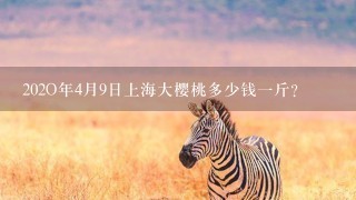 202O年4月9日上海大樱桃多少钱1斤? 202O年4月9日上海大樱桃多少钱1斤?