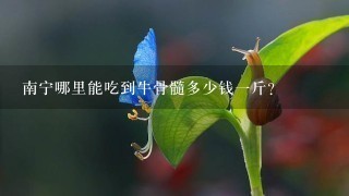南宁哪里能吃到牛骨髓多少钱1斤? 南宁哪里能吃到牛骨髓多少钱1斤?