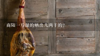 商陆1斤湿的晒出几两干的? 商陆1斤湿的晒出几两干的?