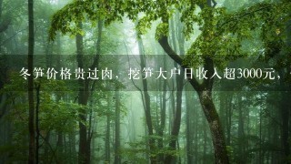 冬笋价格贵过肉,挖笋大户日收入超3000元,他们的日 冬笋价格贵过肉,挖笋大户日收入超3000元,他们的日