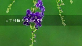人工种植天麻价格多少 人工种植天麻价格多少