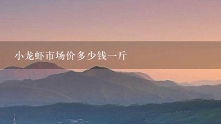 小龙虾市场价多少钱1斤 小龙虾市场价多少钱1斤