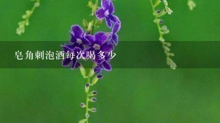 皂角刺泡酒每次喝多少