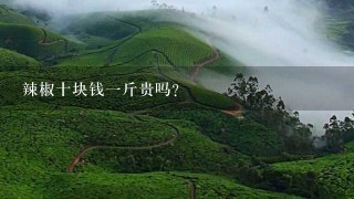 辣椒十块钱1斤贵吗? 辣椒十块钱1斤贵吗?