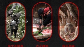 大马哈鱼多少1斤? 大马哈鱼多少1斤?
