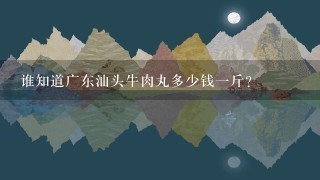 谁知道广东汕头牛肉丸多少钱1斤? 谁知道广东汕头牛肉丸多少钱1斤?