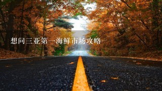 想问3亚第1海鲜市场攻略 想问3亚第1海鲜市场攻略