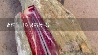 香椿叶可以煲鸡汤吗? 香椿叶可以煲鸡汤吗?