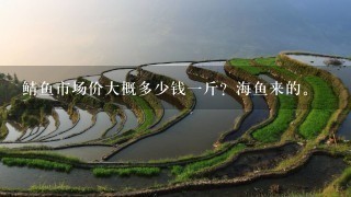 鲭鱼市场价大概多少钱1斤?海鱼来的。 鲭鱼市场价大概多少钱1斤?海鱼来的。