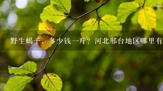 野生蝎子,多少钱1斤?河北邢台地区哪里有收蝎子的? 野生蝎子,多少钱1斤?河北邢台地区哪里有收蝎子的?