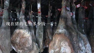 现在猪的毛重多少钱1斤? 现在猪的毛重多少钱1斤?