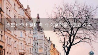 板蟹和帝王蟹区别 什么蟹跟帝王蟹差不多 板蟹和帝王蟹区别 什么蟹跟帝王蟹差不多