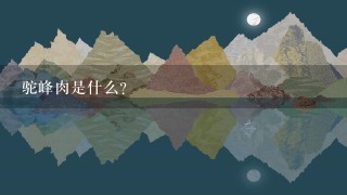 驼峰肉是什么? 驼峰肉是什么?