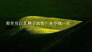 那里有白芷种子出售?多少钱1斤 那里有白芷种子出售?多少钱1斤