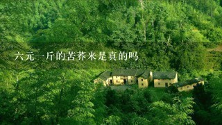 6元1斤的苦荞米是真的吗 6元1斤的苦荞米是真的吗