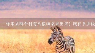 怀来县哪个村有8棱海棠果出售?现在多少钱1斤? 怀来县哪个村有8棱海棠果出售?现在多少钱1斤?