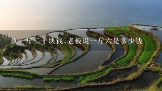 鱼1斤2十块钱,老板说1斤6是多少钱 鱼1斤2十块钱,老板说1斤6是多少钱