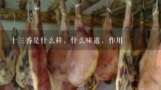 十3香是什么样,什么味道,作用 十3香是什么样,什么味道,作用