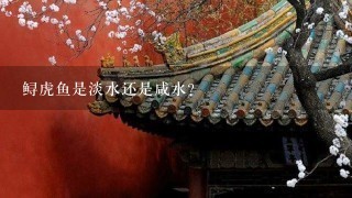 鲟虎鱼是淡水还是咸水? 鲟虎鱼是淡水还是咸水?