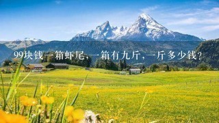 99块钱1箱虾尾,1箱有9斤,1斤多少钱? 99块钱1箱虾尾,1箱有9斤,1斤多少钱?