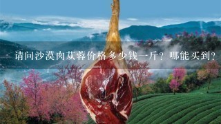请问沙漠肉苁蓉价格多少钱1斤?哪能买到? 请问沙漠肉苁蓉价格多少钱1斤?哪能买到?