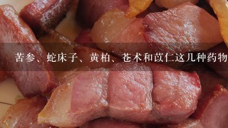 苦参、蛇床子、黄柏、苍术和苡仁这几种药物的价钱贵 苦参、蛇床子、黄柏、苍术和苡仁这几种药物的价钱贵