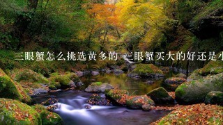 3眼蟹怎么挑选黄多的 3眼蟹买大的好还是小的好 3眼蟹怎么挑选黄多的 3眼蟹买大的好还是小的好