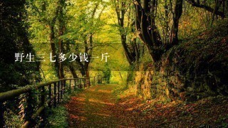 野生37多少钱1斤 野生37多少钱1斤