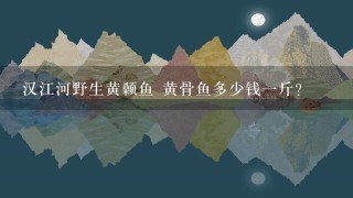 汉江河野生黄颡鱼 黄骨鱼多少钱1斤? 汉江河野生黄颡鱼 黄骨鱼多少钱1斤?