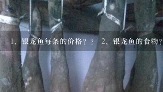 <br/>1、银龙鱼每条的价格?? <br/>2、银龙鱼的食物? <br/>3、银 <br/>1、银龙鱼每条的价格?? <br/>2、银龙鱼的食物? <br/>3、银