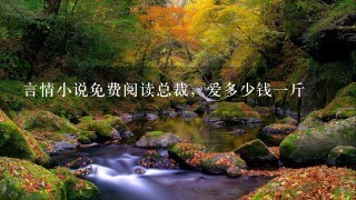 言情小说免费阅读总裁，爱多少钱1斤