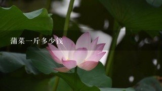 蒲菜1斤多少钱 蒲菜1斤多少钱