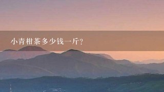 小青柑茶多少钱1斤? 小青柑茶多少钱1斤?