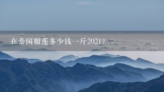 在泰国榴莲多少钱1斤2021? 在泰国榴莲多少钱1斤2021?