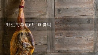 野生的草鱼6斤100贵吗 野生的草鱼6斤100贵吗