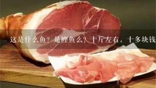 这是什么鱼?是鲣鱼么?十斤左右,十多块钱1斤! 这是什么鱼?是鲣鱼么?十斤左右,十多块钱1斤!