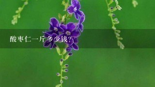 酸枣仁1斤多少钱? 酸枣仁1斤多少钱?
