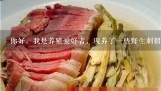 你好,我是养殖爱好者,现养了1些野生刺猬,哪里有收购吗,多少钱1只,或1斤。求解答 你好,我是养殖爱好者,现养了1些野生刺猬,哪里有收购吗,多少钱1只,或1斤。求解答