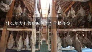 什么地方有收购蚁狮的?价格多少? 什么地方有收购蚁狮的?价格多少?