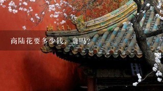 商陆花要多少钱,贵吗? 商陆花要多少钱,贵吗?