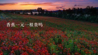 香蕉1元1根贵吗 香蕉1元1根贵吗