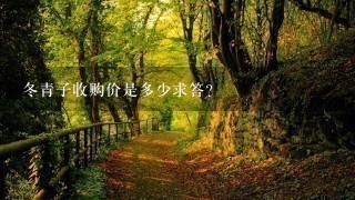冬青子收购价是多少求答? 冬青子收购价是多少求答?