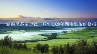 湖南黑茶多少钱1斤?2020年湖南黑茶价格报价解说 湖南黑茶多少钱1斤?2020年湖南黑茶价格报价解说