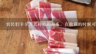 农民们辛辛苦苦种植的南瓜,在收获的时候可以卖多少 农民们辛辛苦苦种植的南瓜,在收获的时候可以卖多少